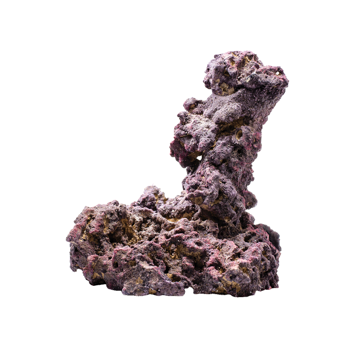 CaribSea LifeRock Shrooms 2 per box