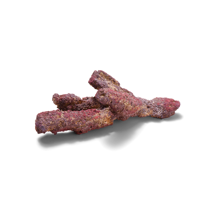CaribSea LifeRock Belize Branch 9,07 kg