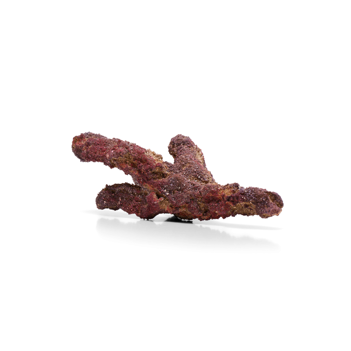 CaribSea LifeRock Belize Branch 9,07 kg