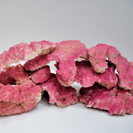 Royal Nature Royal cultured rock Colored red Per 1kg