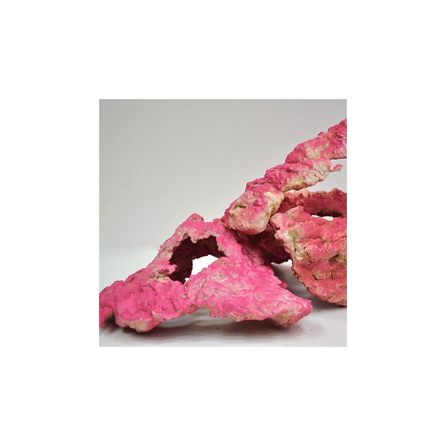 Royal Nature Royal cultured rock Colored red Per 1kg