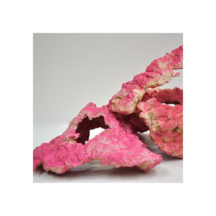 Royal Nature Royal cultured rock Colored red Per 1kg