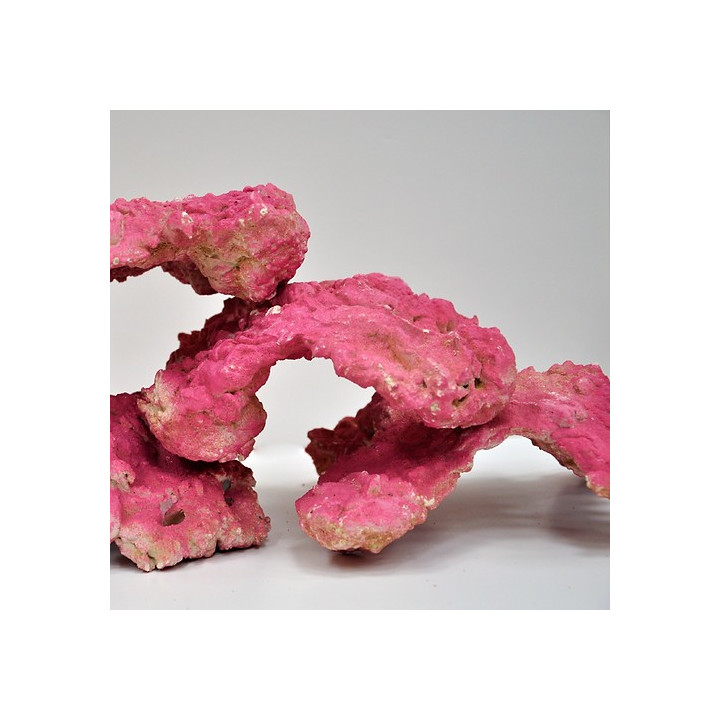 Royal Nature Royal cultured rock Colored red Per 1kg