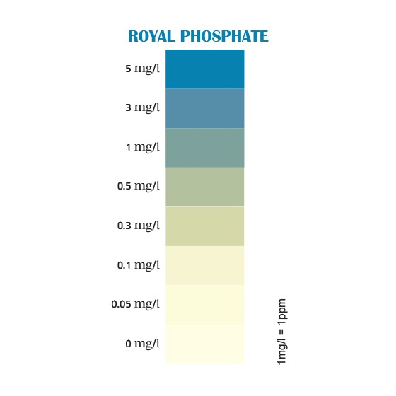 Royal Nature Royal Phosphate Professional Test