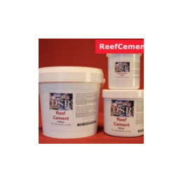 DSR Reef Cement (5min)