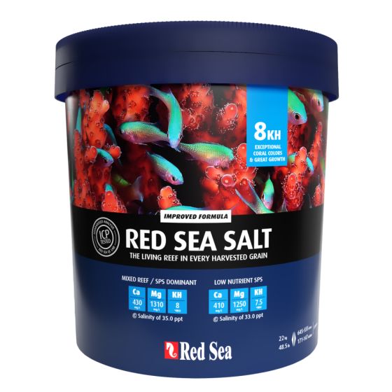 Red Sea Salt