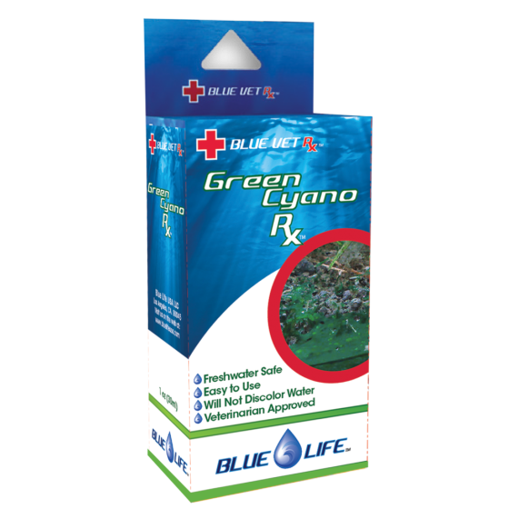 Blue Life Green Cyano