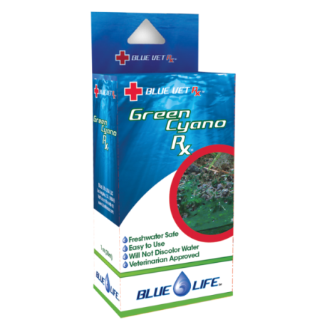 Blue Life Green Cyano