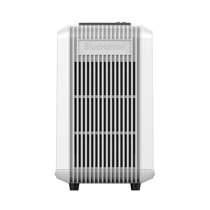 BLUE MARINE CHILLER 100 (FLOW 600L/H) viilennin