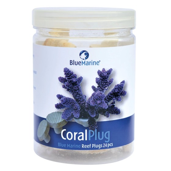 BLUE MARINE CORAL PLUG 24X