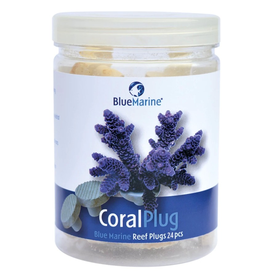 BLUE MARINE CORAL PLUG 24X