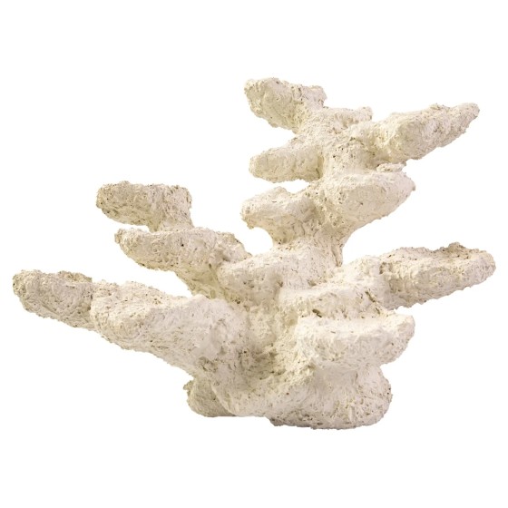BLUE MARINE MARINE ROCK STANDING