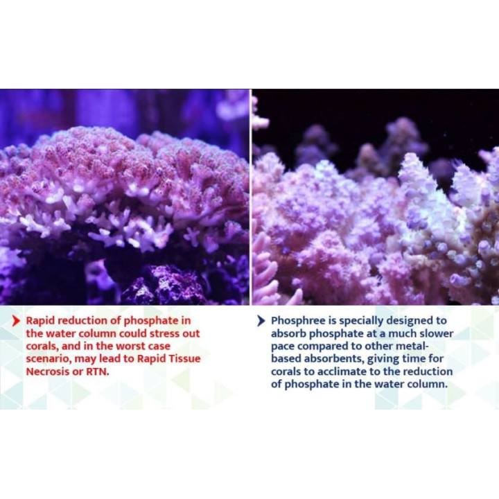 Maxspect Nano Tech Phosphree