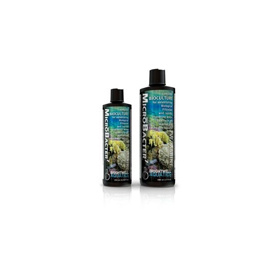 Brightwell Aquatics MicroBacter7 *