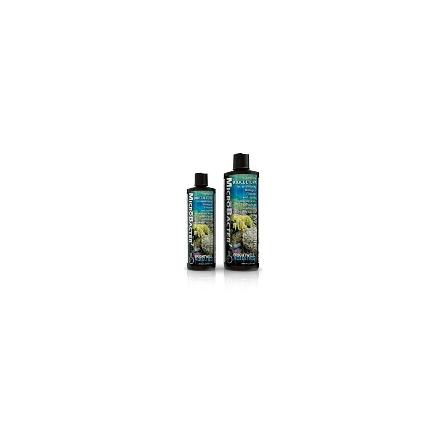 Brightwell Aquatics MicroBacter7 *