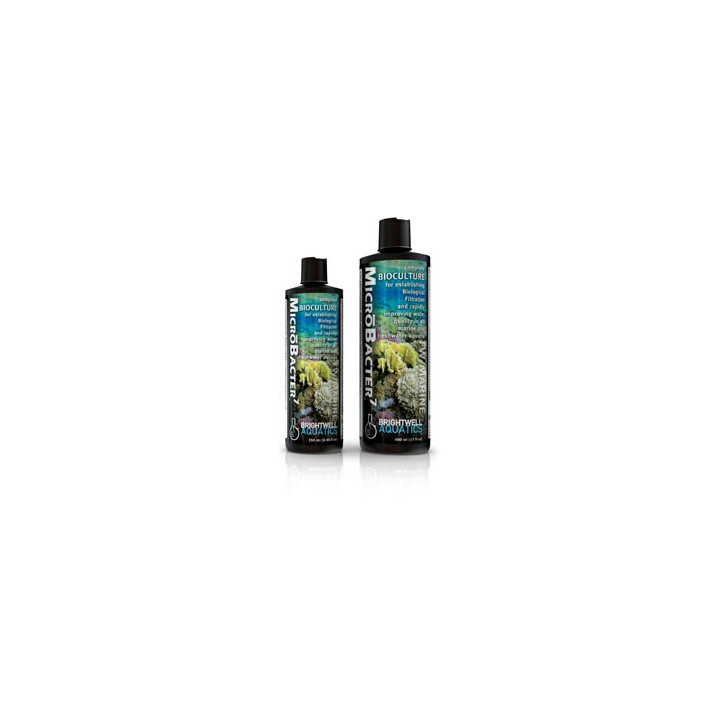 Brightwell Aquatics MicroBacter7 *