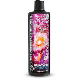 Brightwell Aquatics Coralline Accelerator *