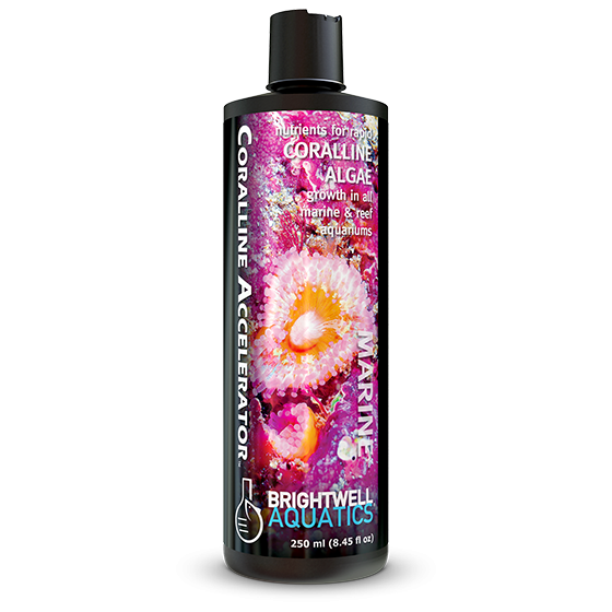 Brightwell Aquatics Coralline Accelerator *