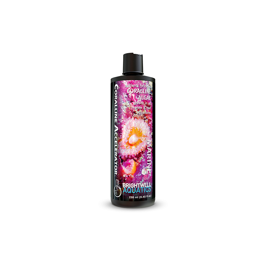 Brightwell Aquatics Coralline Accelerator *