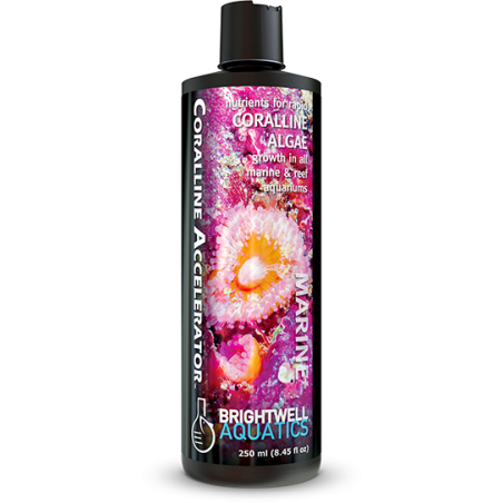 Brightwell Aquatics Coralline Accelerator *