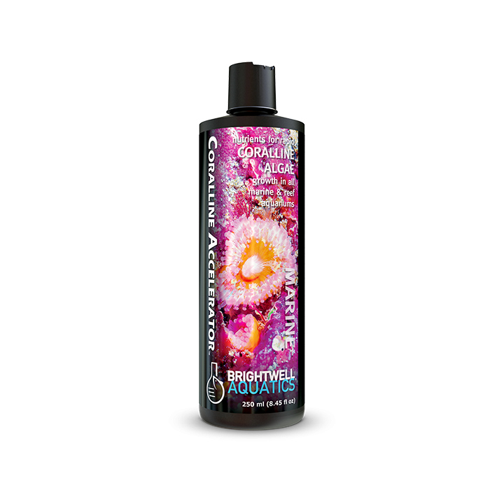Brightwell Aquatics Coralline Accelerator *