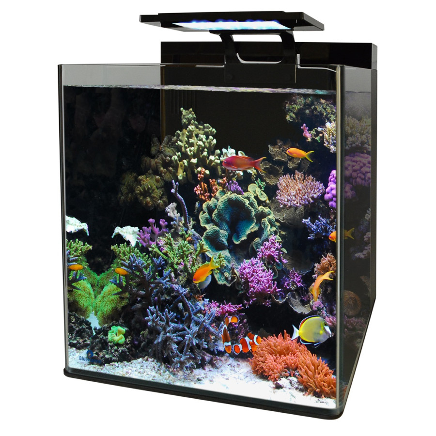 BLUE MARINE REEF 60 AQUARIUM