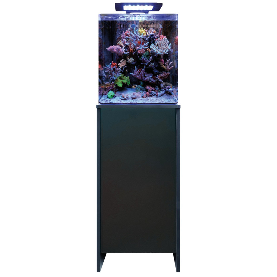 BLUE MARINE REEF 60 STAND BLACK/PASA KAAPPI