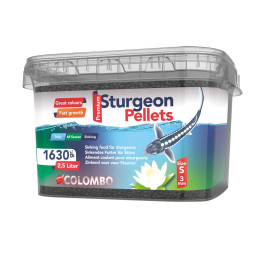 COLOMBO STURGEON FOOD uppoava pellettiruoka sampille