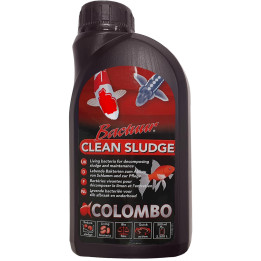 COLOMBO BACTURE CLEAN
