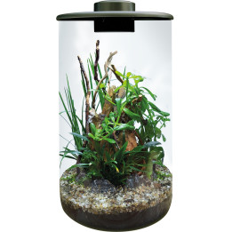 Superfish BIOART CYLINDER 285