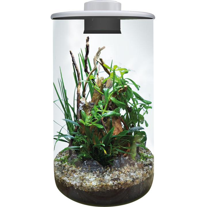 Superfish BIOART CYLINDER 285