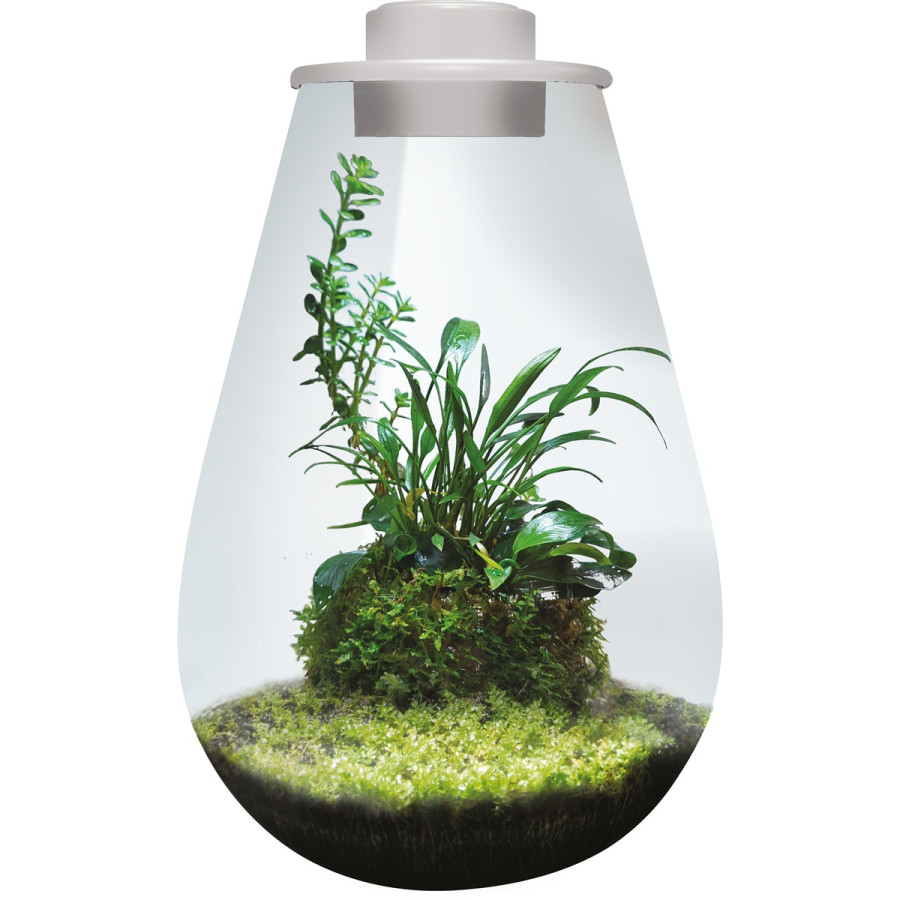 Superfish BIOART DROP 285 kasviterraario