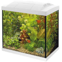 SUPERFISH START 30 TROPICAL KIT WHITE akvaariopaketti