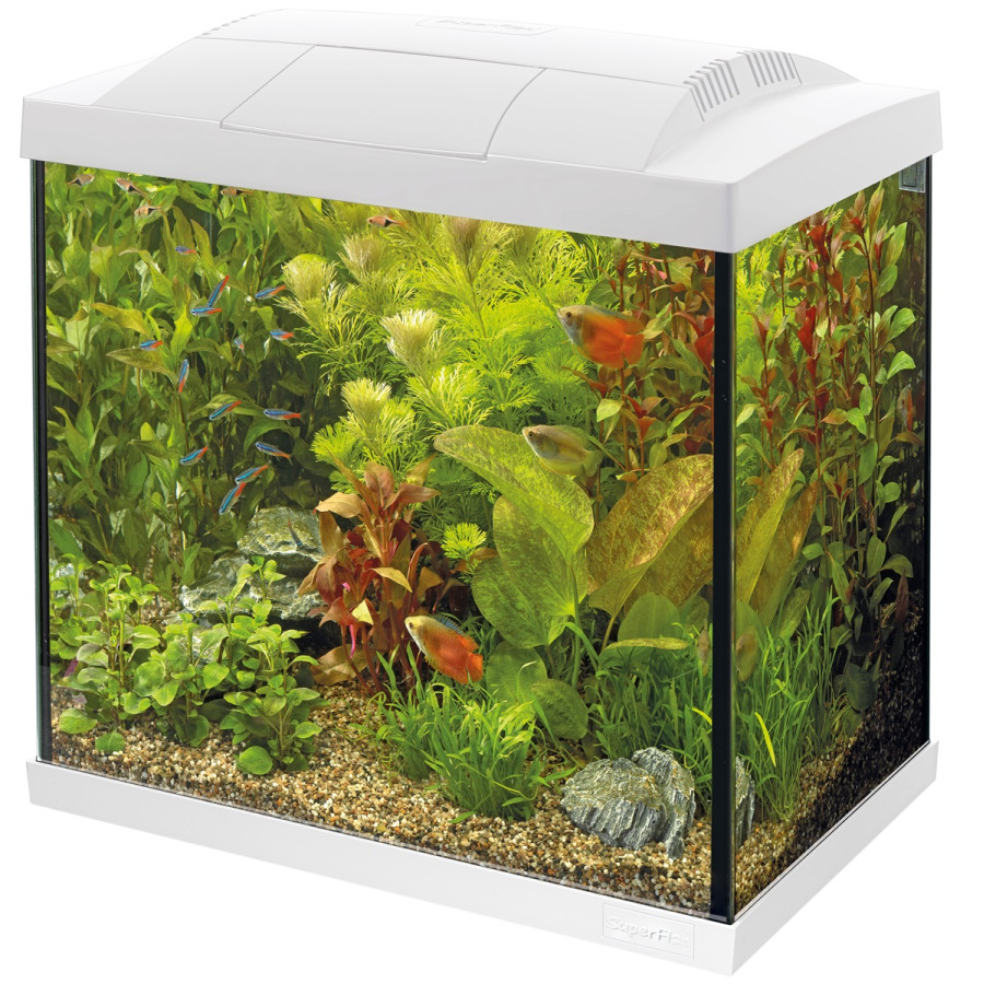 SUPERFISH START 30 TROPICAL KIT WHITE akvaariopaketti