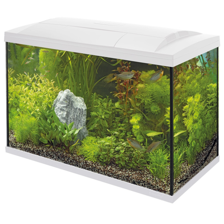 SUPERFISH START 100 TROPICAL KIT akvaariopaketti