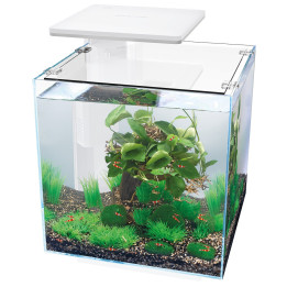 SUPERFISH QUBIQ 30 PRO akvaario