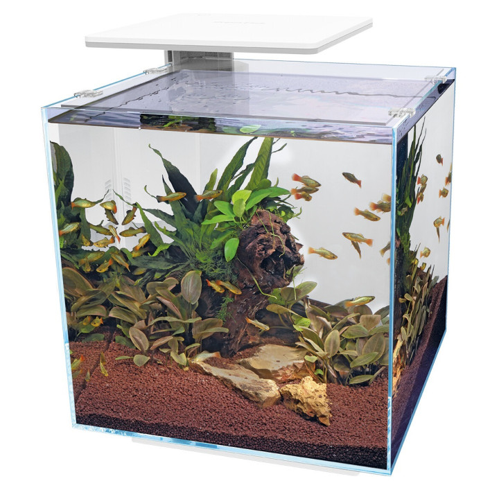 SUPERFISH QUBIQ 60 PRO akvaario