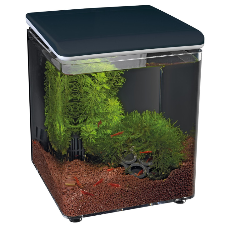 SUPERFISH HOME 8 AQUARIUM * - SuperFish