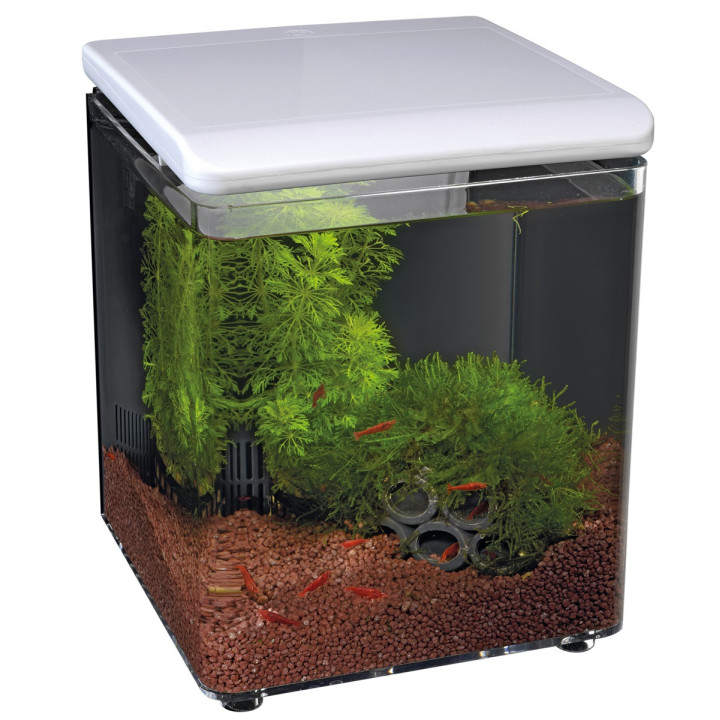 SUPERFISH HOME 8 AQUARIUM * - SuperFish
