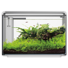 SUPERFISH HOME PROLED 65 AQUARIUM akvaario