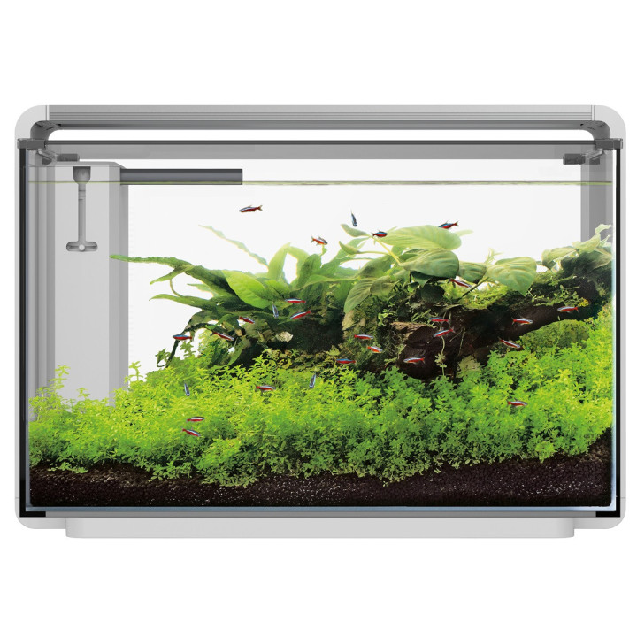 SUPERFISH HOME PROLED 65 AQUARIUM akvaario