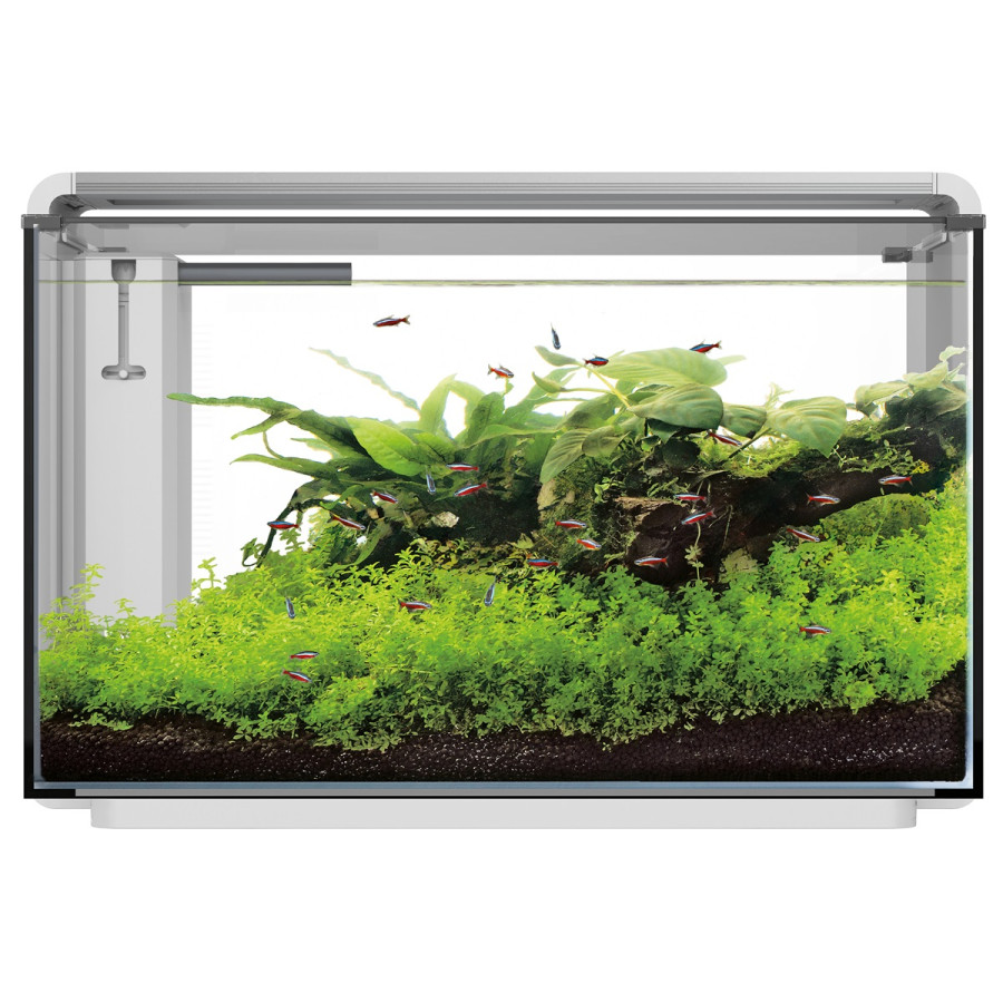 SUPERFISH HOME PROLED 85 AQUARIUM akvaario