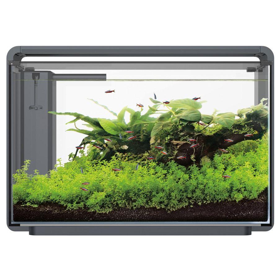 SUPERFISH HOME PROLED 85 AQUARIUM akvaario