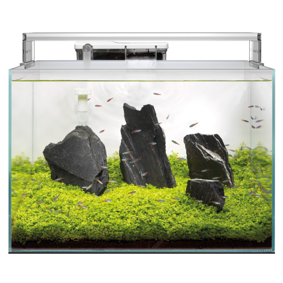 SUPERFISH SCAPER 45 aquascaping aquarium