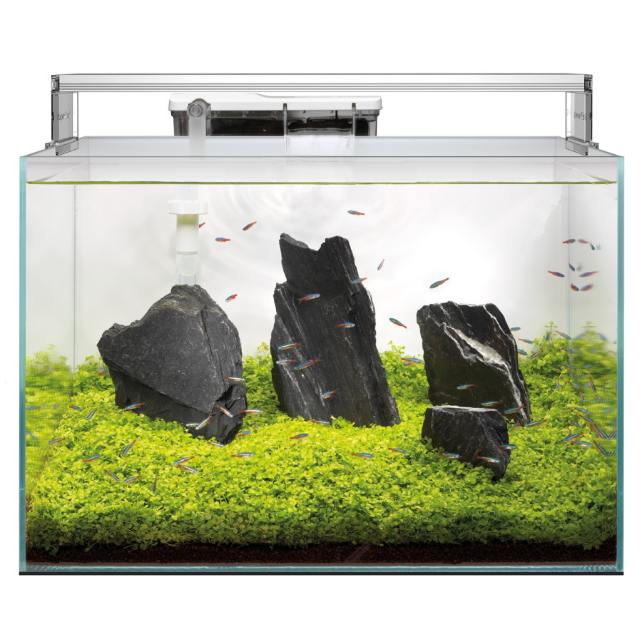 SUPERFISH SCAPER 90 Aquascaping aquarium
