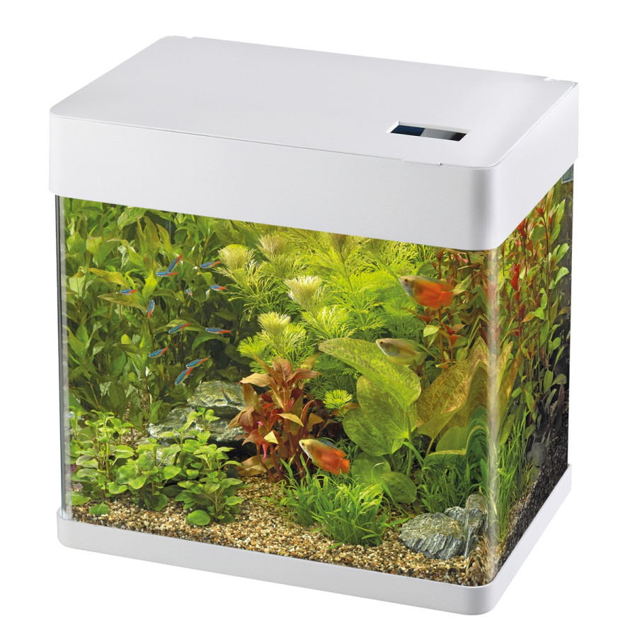 SUPERFISH PANORAMA 35 aquarium
