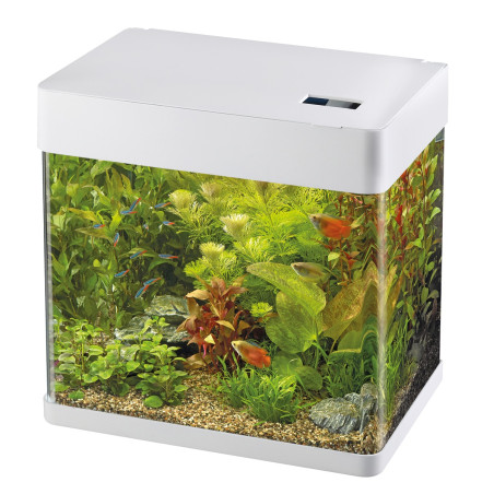 SUPERFISH PANORAMA 50 *