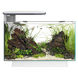 SUPERFISH QUADRO 40 PRO akvaariopaketti
