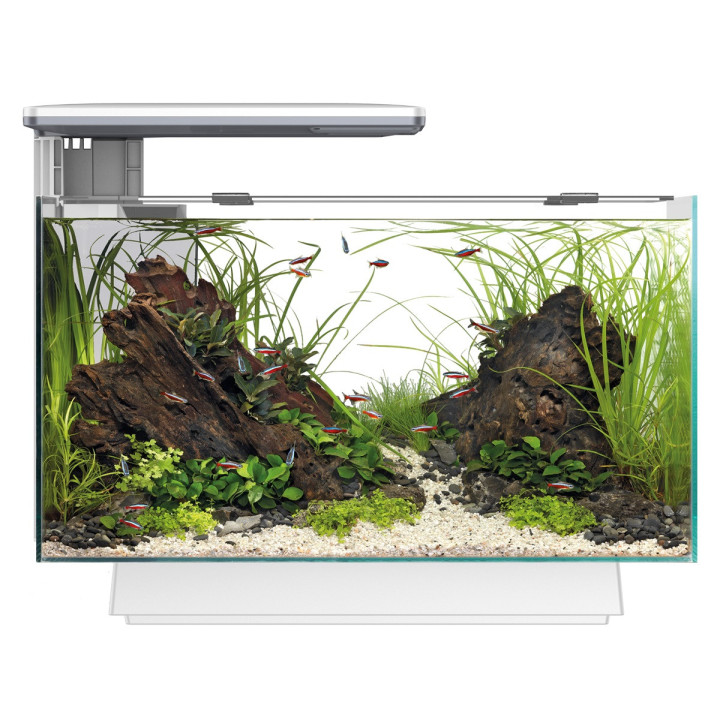 SUPERFISH QUADRO 40 MULTI COLOUR akvaariopaketti