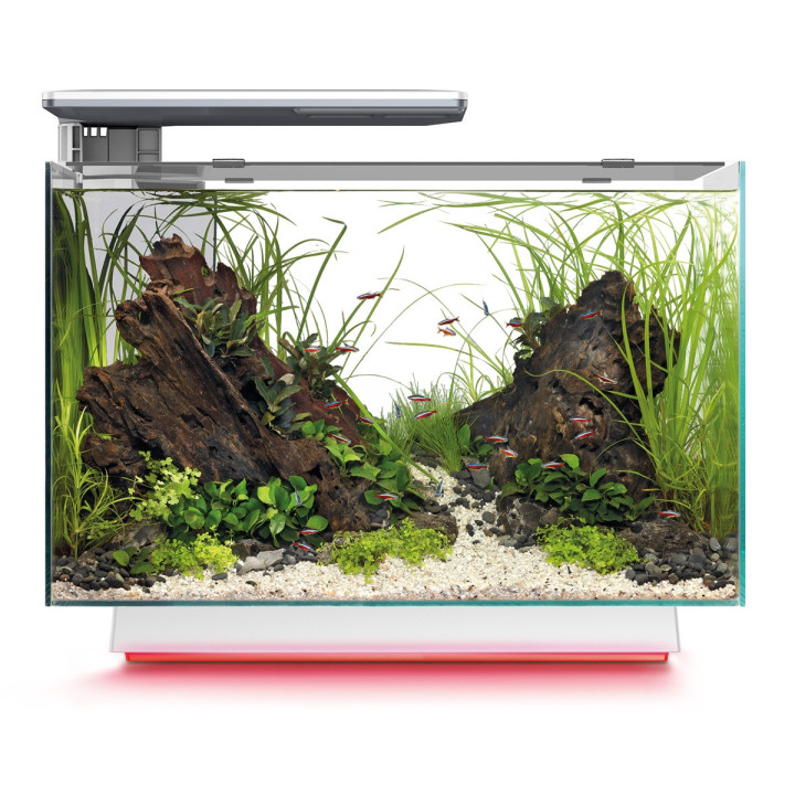 SUPERFISH QUADRO 70 MULTI COLOUR akvaariopaketti
